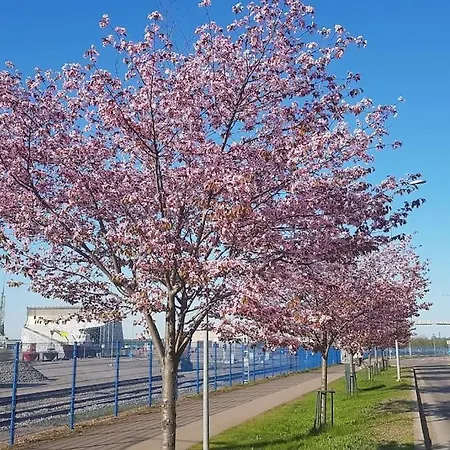 Kurren Tupa Linnunlaulun Keskellä, Saunomismahdollisuus Kotka