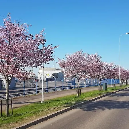 Kurren Tupa Linnunlaulun Keskellä, Saunomismahdollisuus
